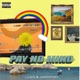 Pay No Mind feat Jarry Pitboi Single