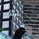 CK Jeans Single