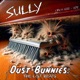 Dust Bunnies The Lost Beats