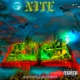 Nite Single