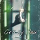 Crazy You feat Teazoid Xreya Lacarmia Jia NA THIK Kaize Single