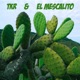 Cactus Single