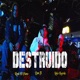 Destruido Single