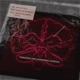 Through the Cerebral Cortex Single