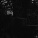 Coven Single