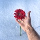 Bloom Alex Bochel Remix Single