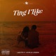 TING I LIKE feat LEVELLE LONDON Single