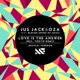 Love Is The Answer feat Blessid Union Of Souls Single