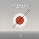 Attract Don t Force Single