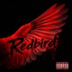 RedBird