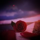 Ashes feat MainstreamXecstasy Single