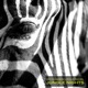 Jungle Nights Single