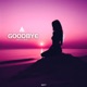 Goodbye Single