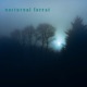 nocturnal forest Single