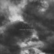 You feat FLØRALS Single