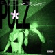 PULZ Single
