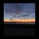 Fall feat yarn Single