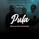 Pula feat Low Dee DJ Cosmo Single