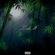 Lost It Single