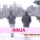 Just a Little Bit Ninj