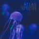 Submerged in the Sea Single