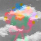 Flores de colores Single