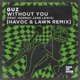 Without You feat Hannah Jane Lewis Havoc Lawn Remix Single