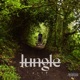 JUNGLE Single