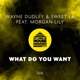What Do You Want feat Morgan Lily Single