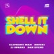 Shell It Down feat Brush1 the Road Marshal Single