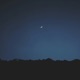 Summer Nights Single