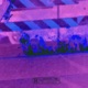 23 EP