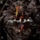 GHAREEB Single