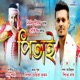 Pitai Single