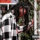 Regret Single