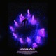 Moonlight Single