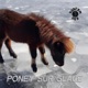 Poney Sur Glace Single