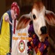 Gau Mata Single