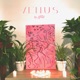Venus Single