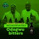 Odogwu Bitters Single