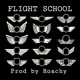 FLIGHT SCHOOL Single