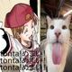 Ton Tonta めまい Single