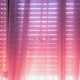 Looking Out Single