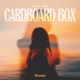 Cardboard Box Single