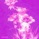LUNA ROSSA feat Fuquen Single
