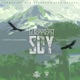 Guerrero Soy feat Martín Skombro Single