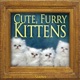 Cute Furry Kittens Single