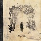 Takk 20th Anniversary Remaster