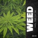 Weed Dash et Bazardé feat Nada Single