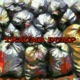 Trauma Dump Single